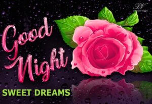 Joyful Good Night Flowers