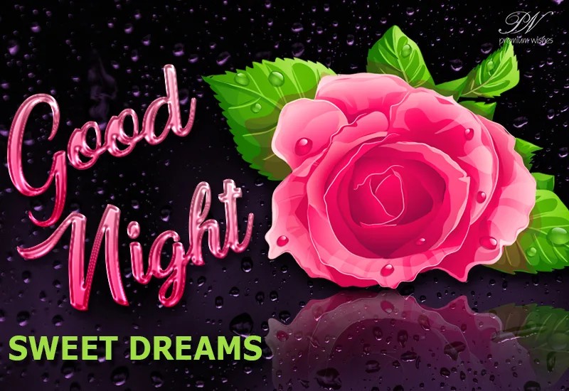 Joyful Good Night Flowers