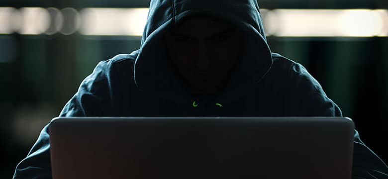 "Law enforcement digital crime bust"