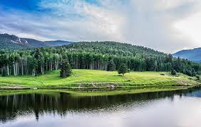 "Search for registered businesses in Colorado"